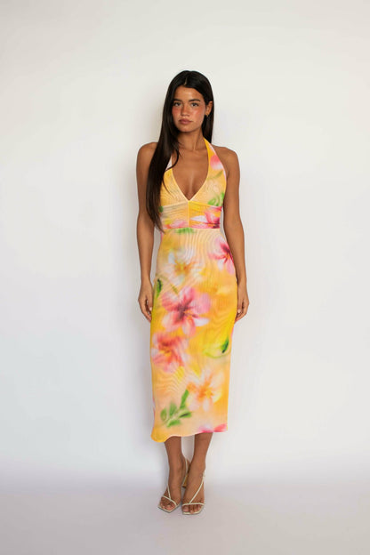 Skatie Alicia Midi Dress in Plumeria - Clothing