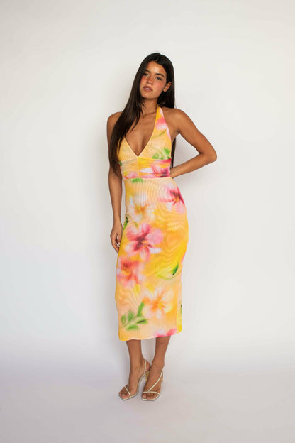 Skatie Alicia Midi Dress in Plumeria - Clothing